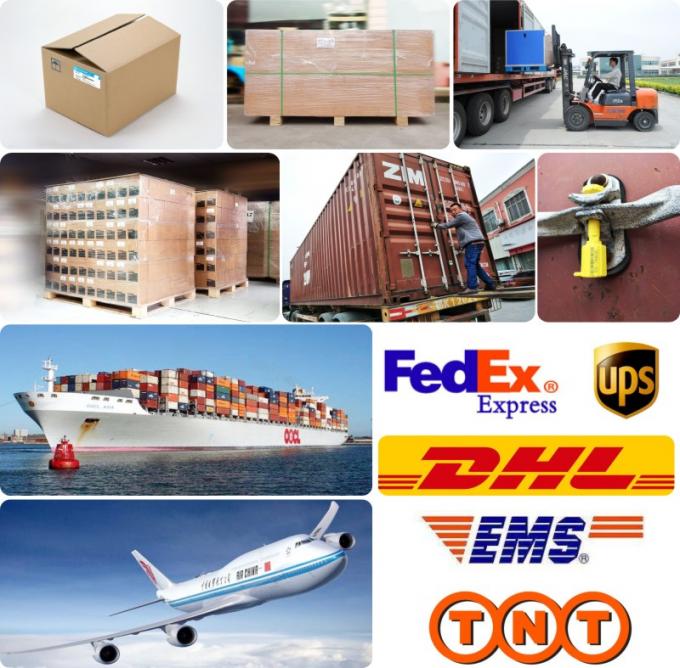 DE08 D1146 Gasket Kepala Silinder untuk Excavator Bus Truk 65.03901-0070 400603-00119 65.03901-0058 18